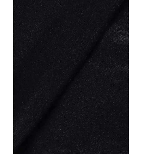 dazzlin「チョーカー付ドレープシアーベロアトップス」|Tシャツ・カットソー|