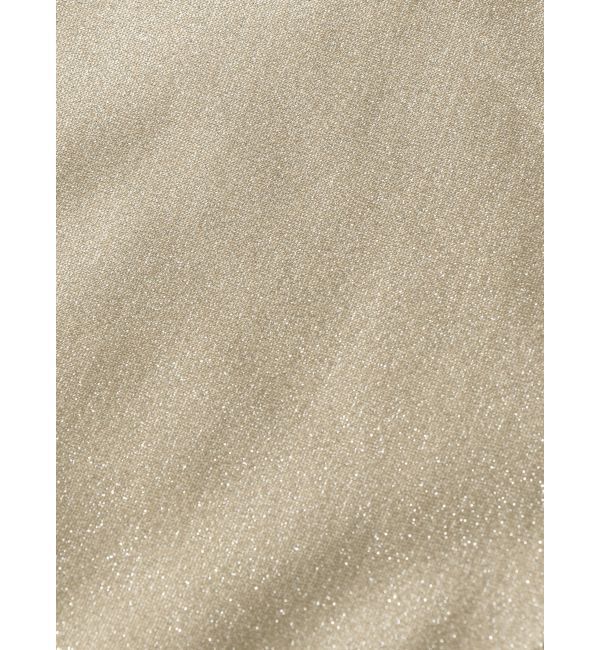 EVRIS「カットアウトラメ Swimwear」|ビキニ|