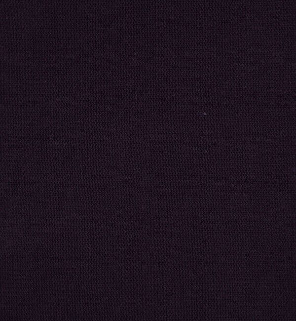 NOLLEY'S「ウォッシャブルコットンチュールバックヘンリー2WAYプルオーバー」|Tシャツ・カットソー|