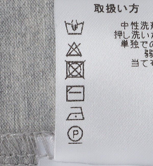 SHIPS「PEREGRINE: グラフィック Tシャツ」|Tシャツ・カットソー|