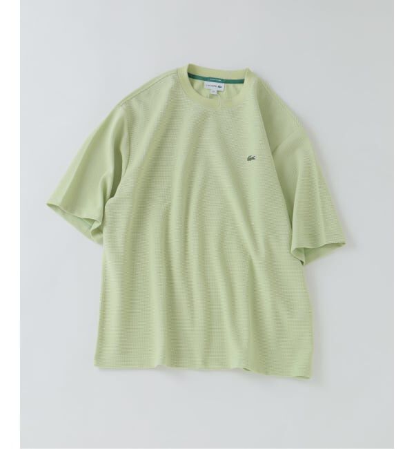 JOURNAL STANDARD relume「LACOSTE / ラコステ ヘビーピケ Tシャツ」|Tシャツ・カットソー|