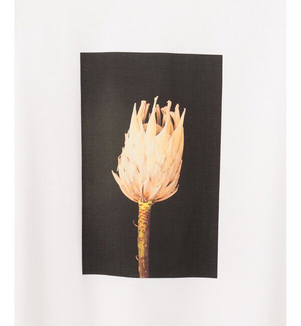 自由区「【カタログ掲載・洗える】PHOTO Tシャツ」|Tシャツ・カットソー|