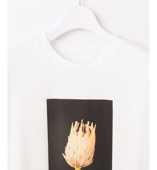 自由区「【カタログ掲載・洗える】PHOTO Tシャツ」|Tシャツ・カットソー|