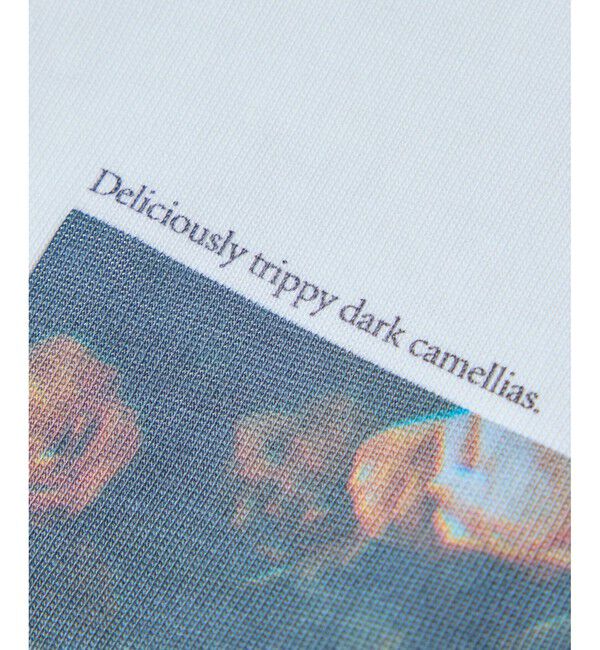 SALON adam et rope'「【Annie Spratt by SALON】フォトロングスリーブTシャツ」|Tシャツ・カットソー|