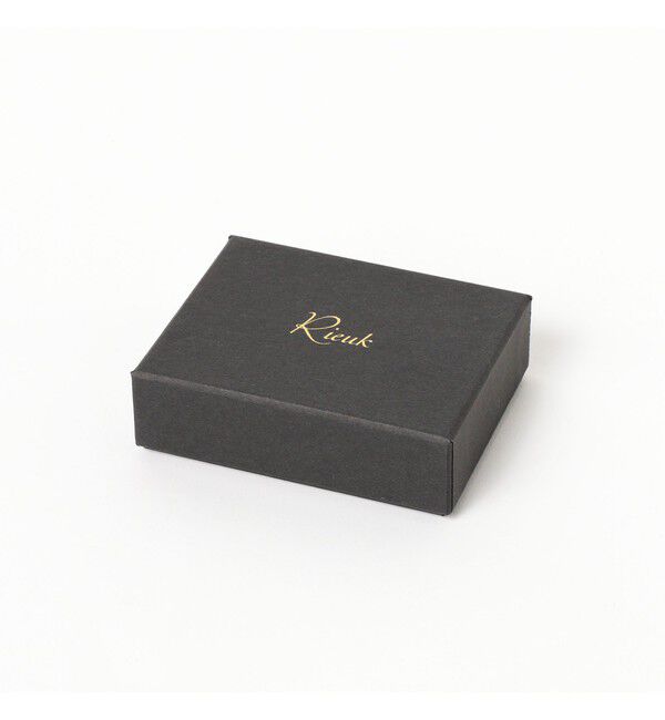 Demi-Luxe BEAMS 「Rieuk / ロングバール フックピアス」|その他|