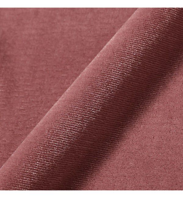 Ray BEAMS 「サマー ベロア リンガー Tシャツ」|Tシャツ・カットソー|