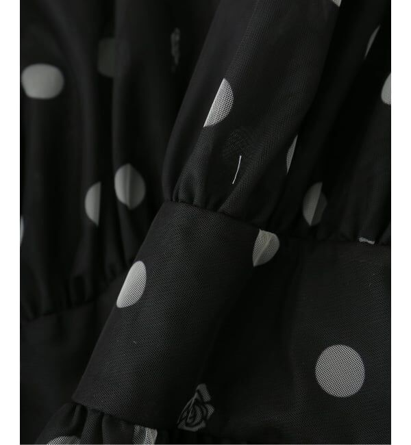 JOURNAL STANDARD「【VIVIANO / ヴィヴィアーノ】 A Pois Tulle Chemisette」|シャツ・ブラウス|