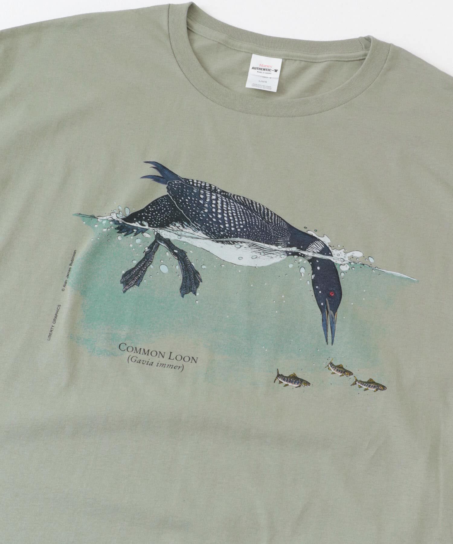 URBAN RESEARCH DOORS「LIBERTY GRAPHICS　Feeding Loon」|Tシャツ・カットソー|