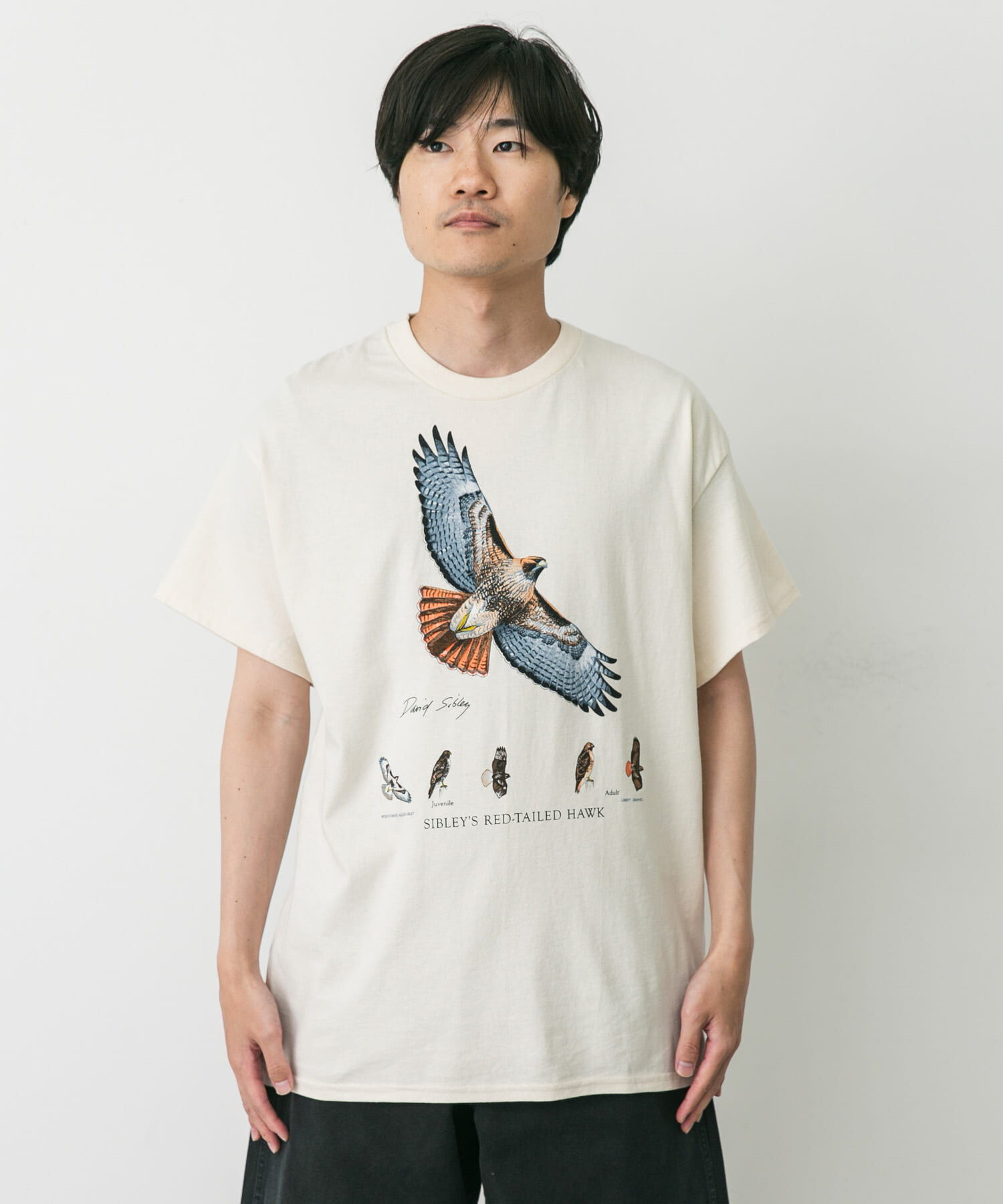URBAN RESEARCH DOORS「LIBERTY GRAPHICS　Sibleys Red-tailed Hawk」|Tシャツ・カットソー|
