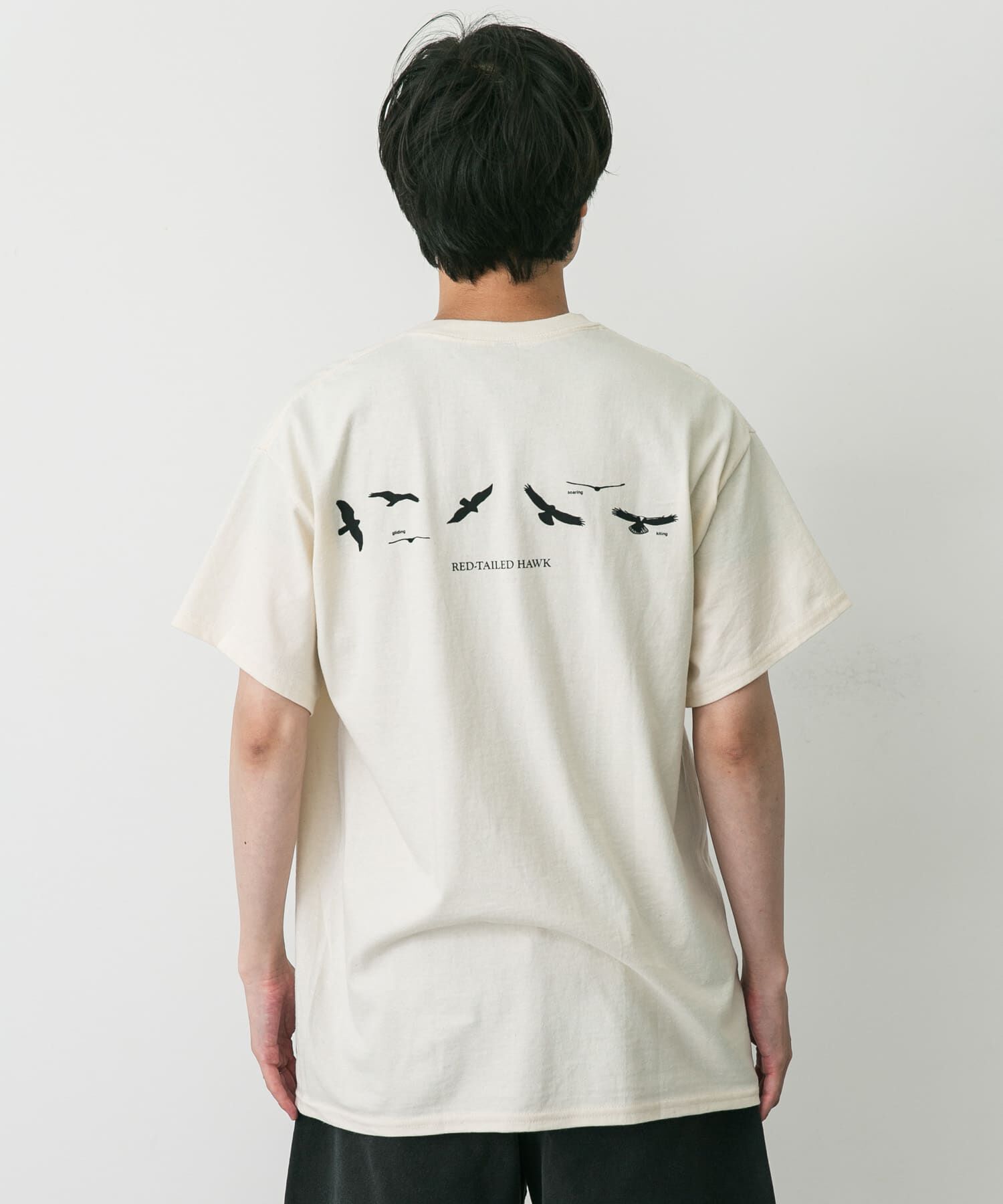 URBAN RESEARCH DOORS「LIBERTY GRAPHICS　Sibleys Red-tailed Hawk」|Tシャツ・カットソー|