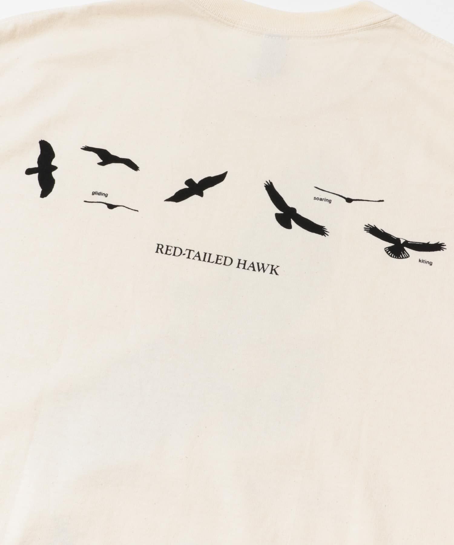 URBAN RESEARCH DOORS「LIBERTY GRAPHICS　Sibleys Red-tailed Hawk」|Tシャツ・カットソー|