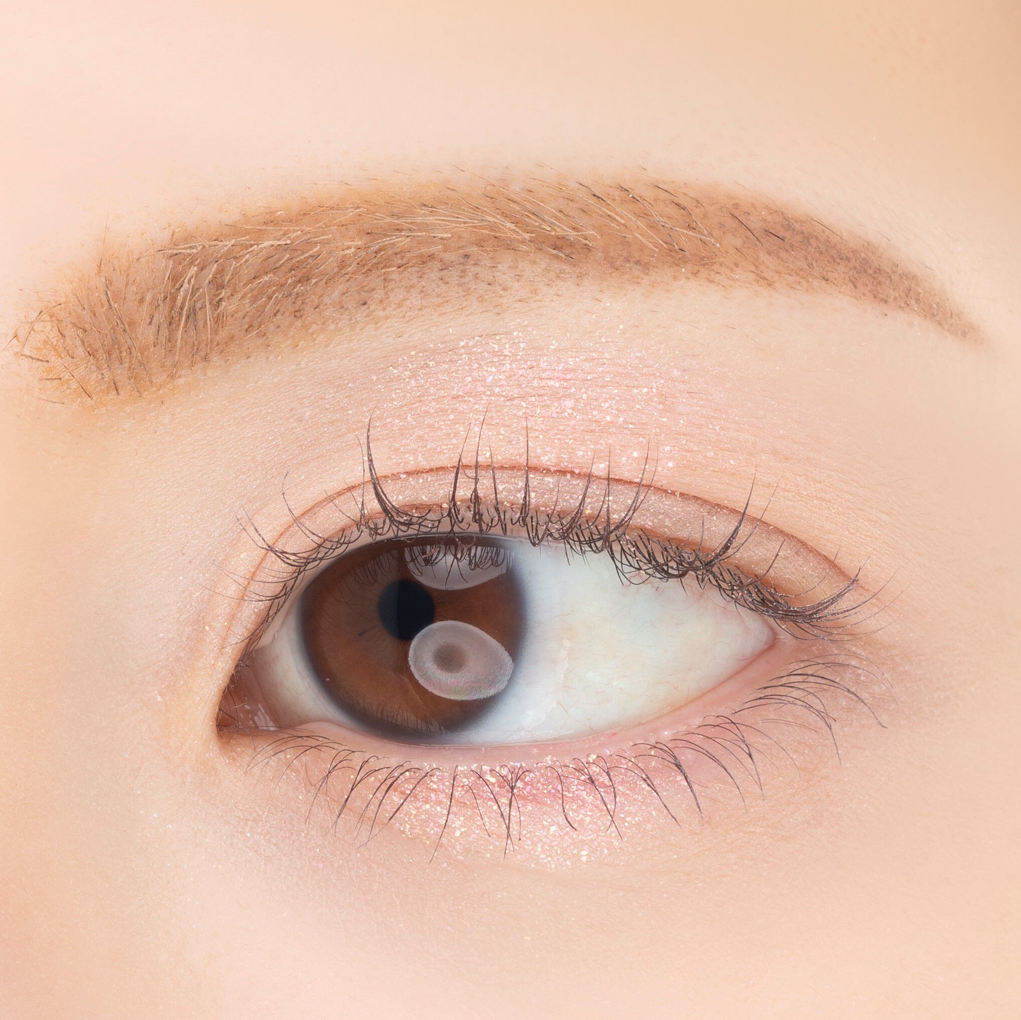 PAUL&JOE「ポール & ジョー アイデザインパレット ０３「トレッス」」|アイシャドウ|