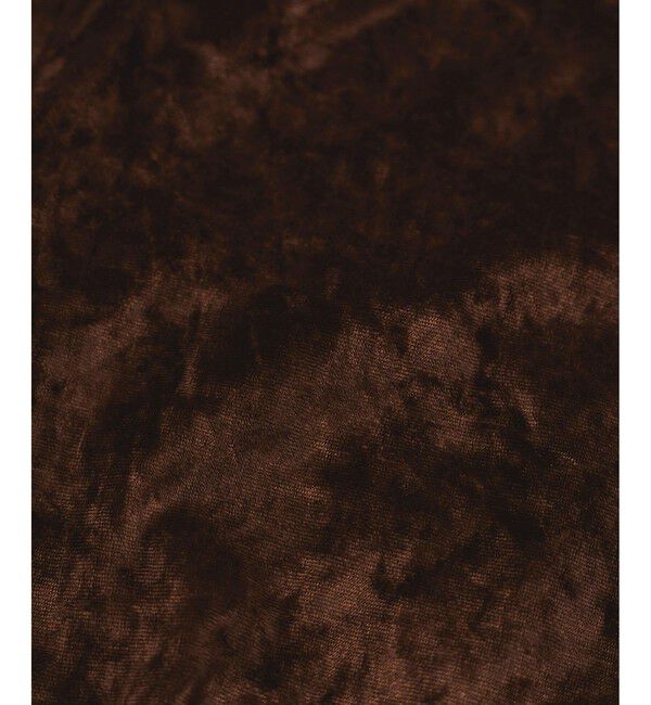 ADAM ET ROPE'「クラッシュベロアTEE」|Tシャツ・カットソー|