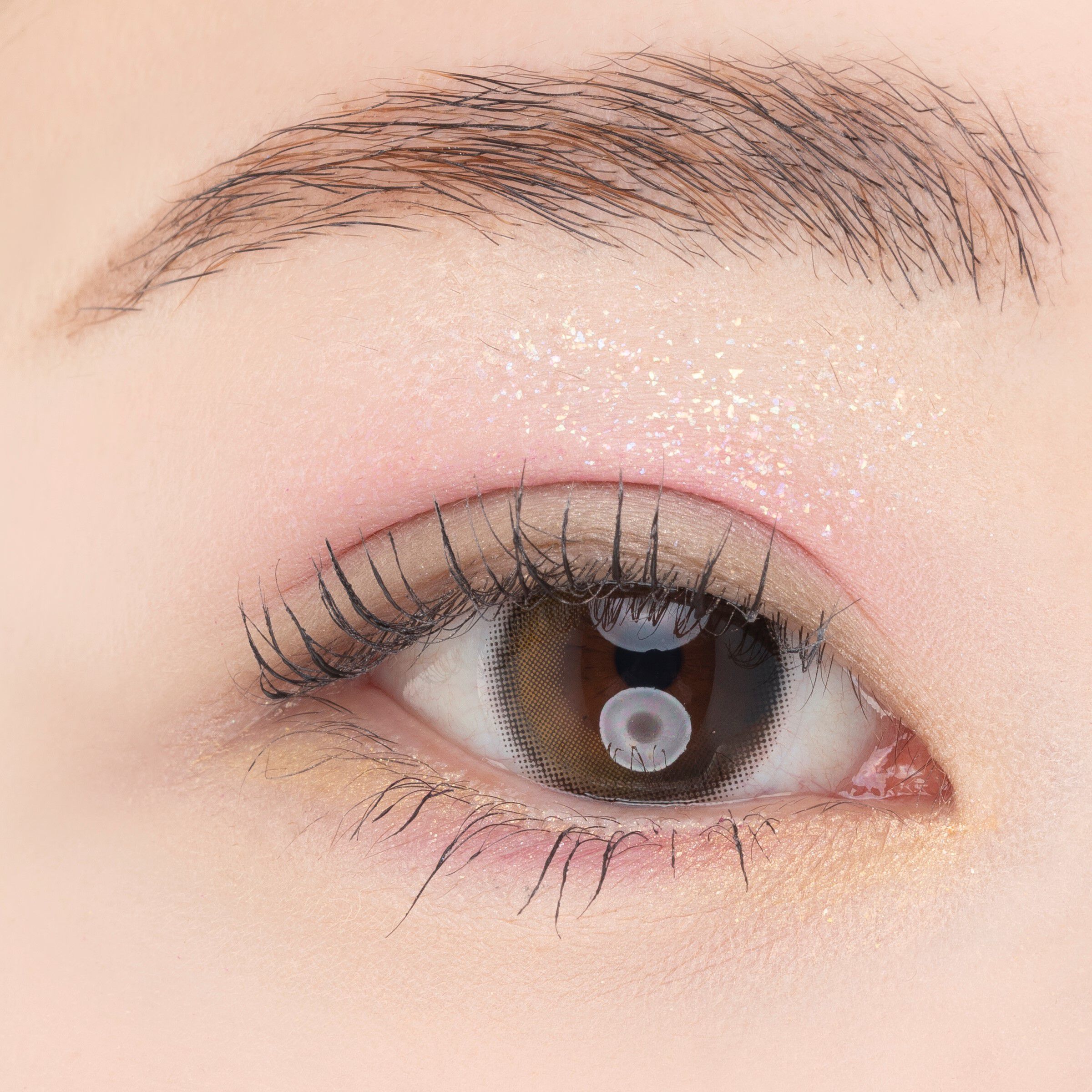 PAUL&JOE「ポール & ジョー アイデザインパレット ０８「マネージュ デテ」」|アイシャドウ|