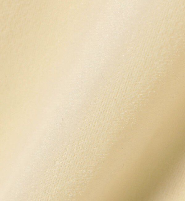 SHIPS Colors 「SHIPS Colors:〈手洗い可能〉メッシュ ポリエステルベロア クルーネック トップス◇」|Tシャツ・カットソー|