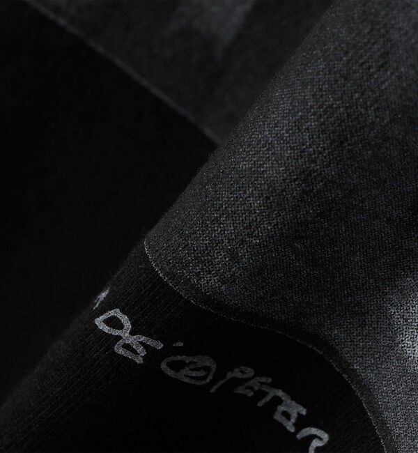 SHIPS「SHIPS: 80S SADE フォト Tシャツ」|Tシャツ・カットソー|