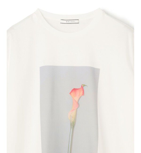BEIGE,「【洗える・クロワッサン 掲載】PENTAS / オリジナルフォトプリントＴシャツ」|Tシャツ・カットソー|