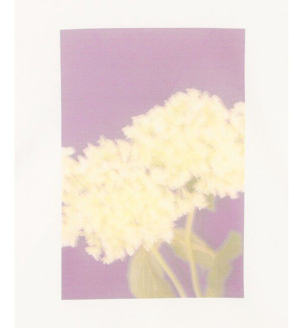 BEIGE,「【洗える・クロワッサン 掲載】PENTAS / オリジナルフォトプリントＴシャツ」|Tシャツ・カットソー|