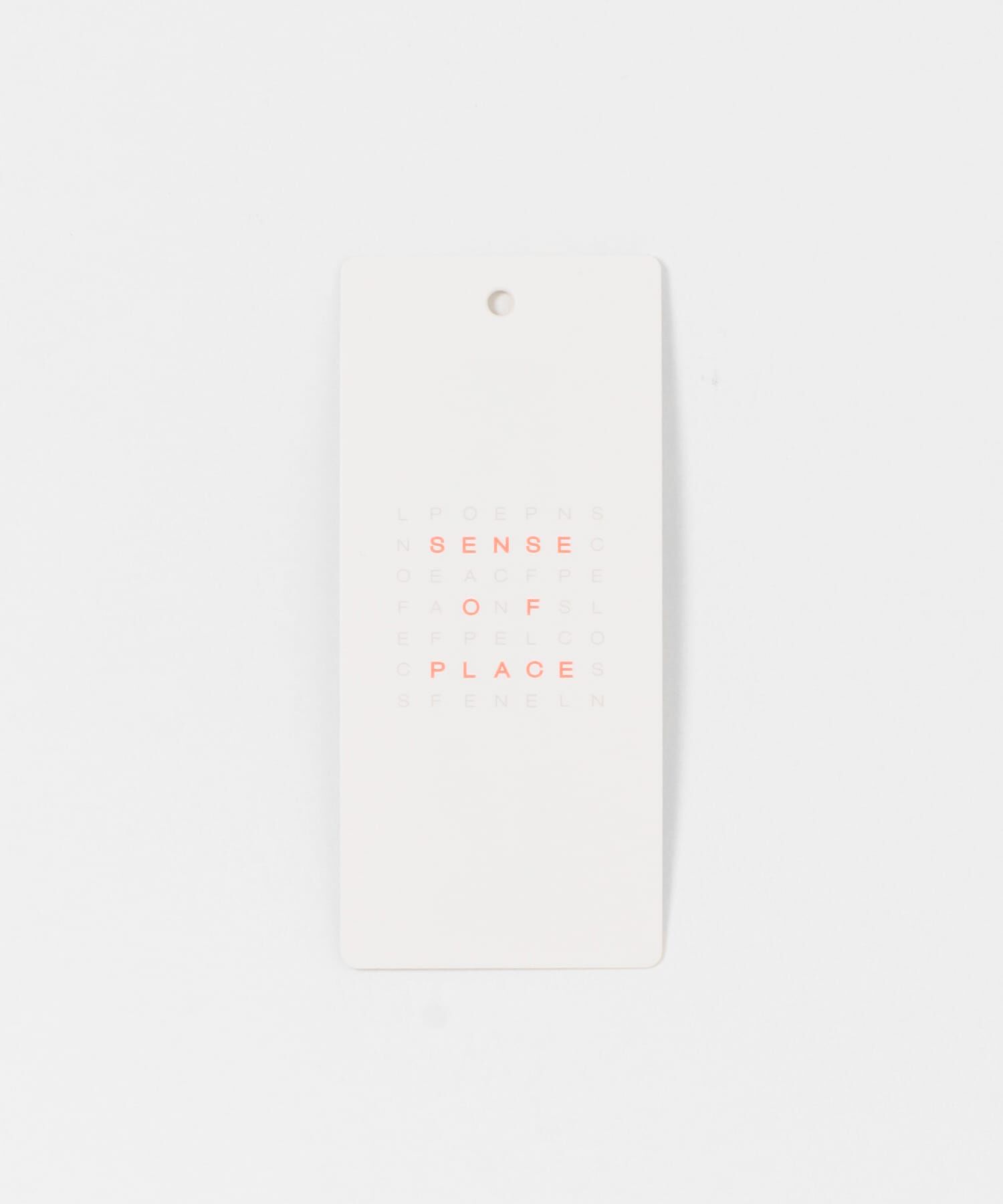 SENSE OF PLACE by URBAN RESEARCH「ストレートボートネックシアーTシャツ」|Tシャツ・カットソー|