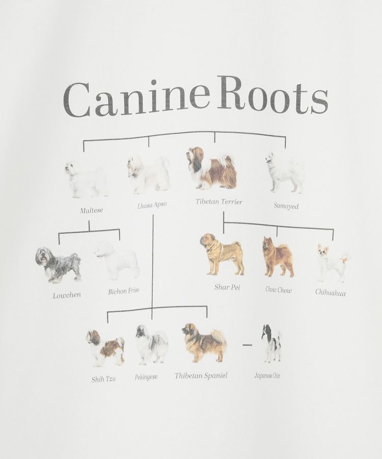 AMERICAN HOLIC「アソートアニマルロングTシャツ」|Tシャツ・カットソー|