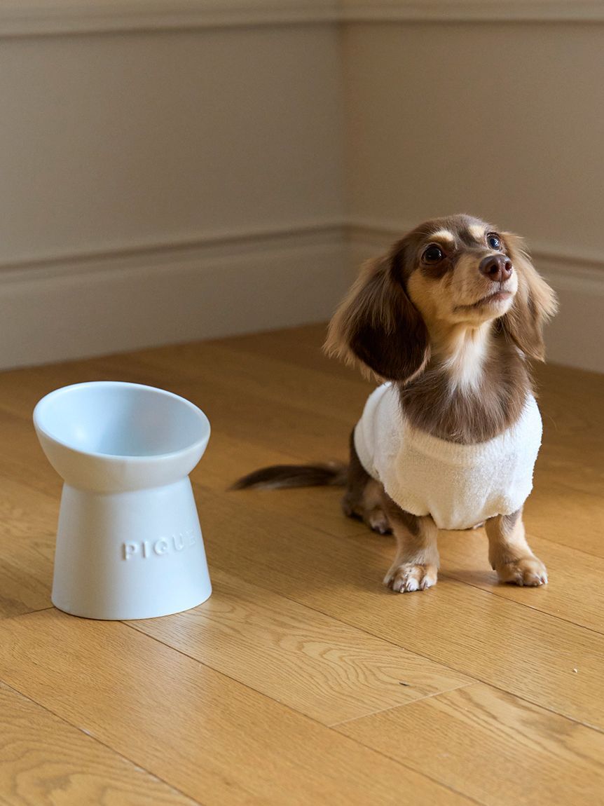  GELATO PIQUE CAT&DOG「【CAT＆DOG】ハイスタンドフードボウル」|その他|