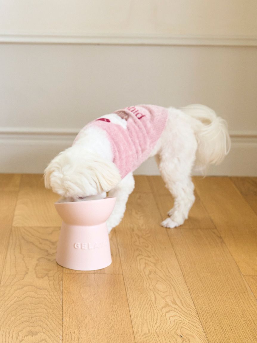  GELATO PIQUE CAT&DOG「【CAT＆DOG】ハイスタンドフードボウル」|その他|