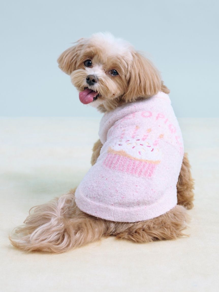  GELATO PIQUE CAT&DOG「【CAT&DOG】【Birthday】スムーズィーカップケーキジャガードプルオーバー」|その他|