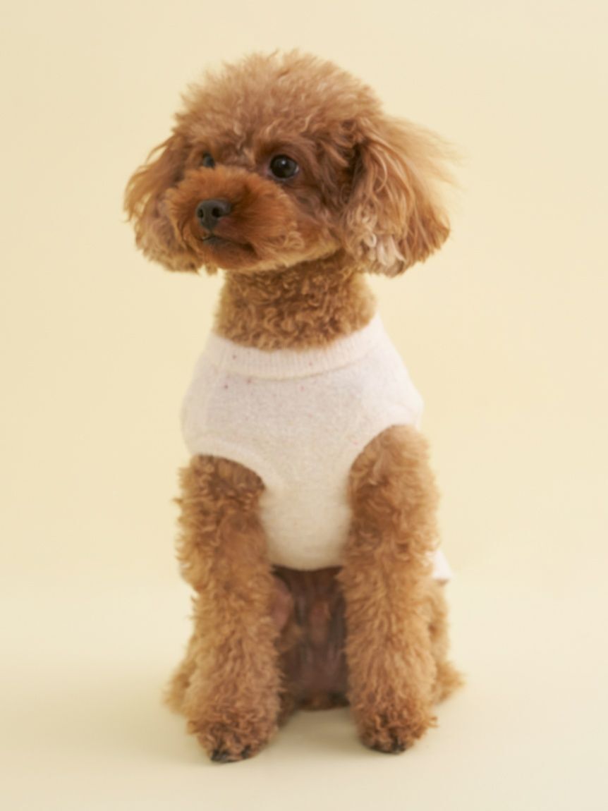  GELATO PIQUE CAT&DOG「【CAT&DOG】【Birthday】スムーズィーカップケーキジャガードプルオーバー」|その他|