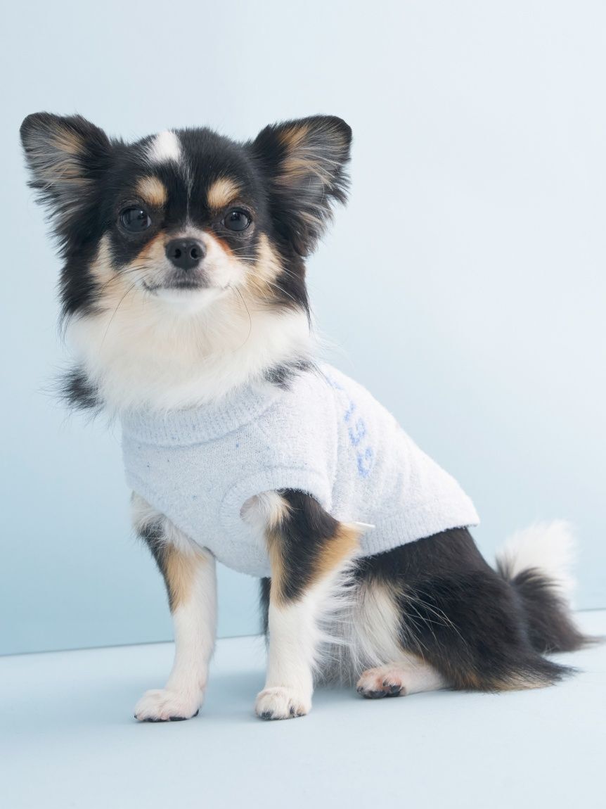  GELATO PIQUE CAT&DOG「【CAT&DOG】【Birthday】スムーズィーカップケーキジャガードプルオーバー」|その他|