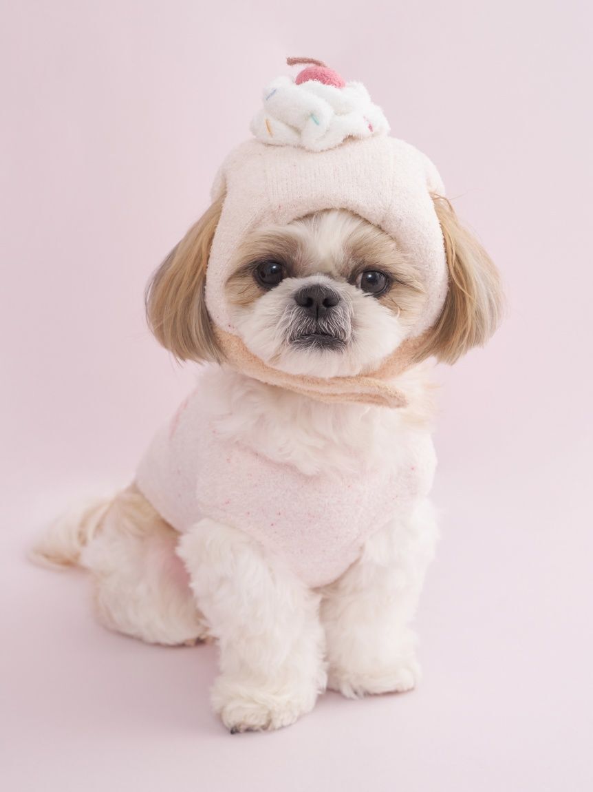  GELATO PIQUE CAT&DOG「【CAT&DOG】【Birthday】スムーズィーカップケーキジャガードプルオーバー」|その他|