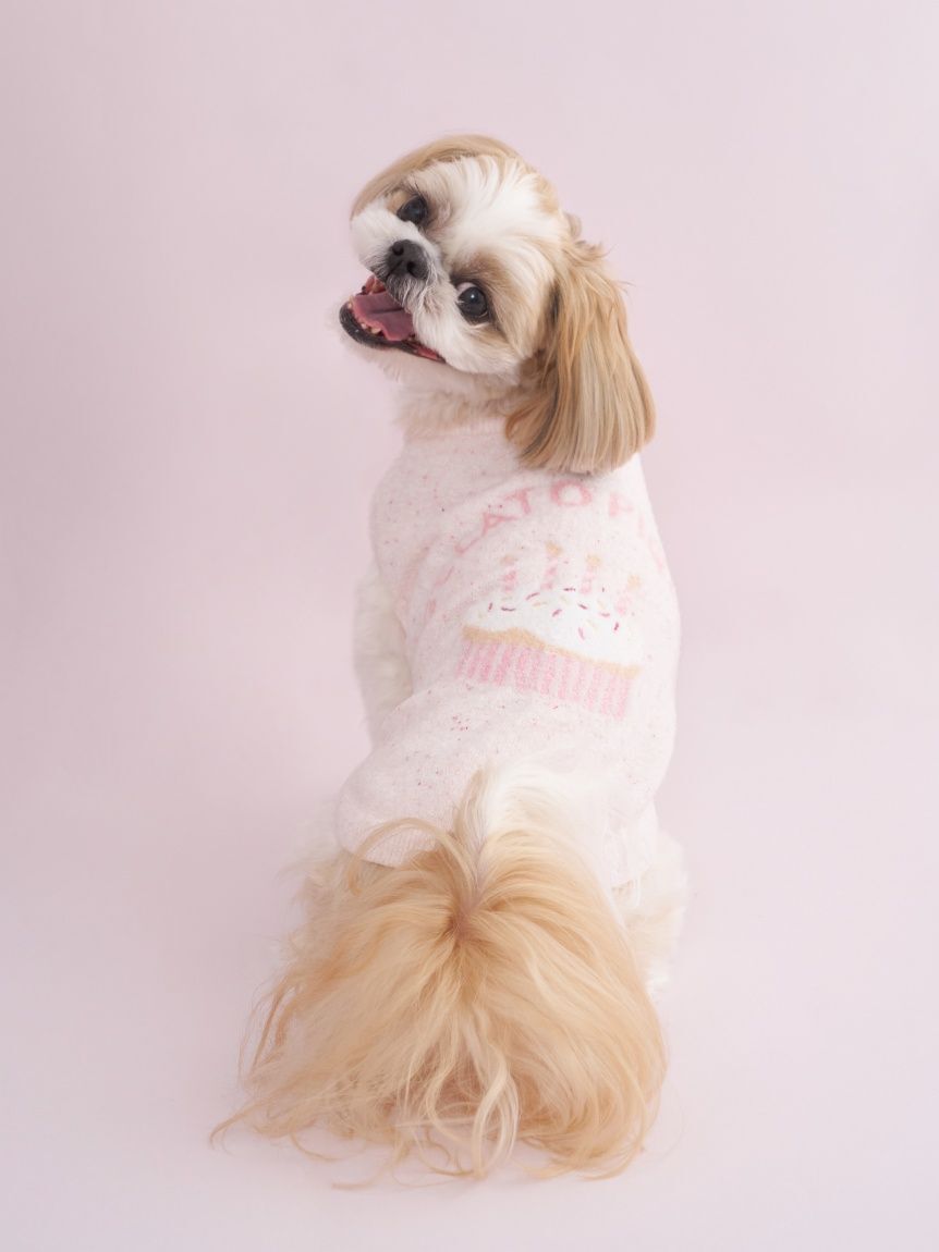  GELATO PIQUE CAT&DOG「【CAT&DOG】【Birthday】スムーズィーカップケーキジャガードプルオーバー」|その他|PNK
