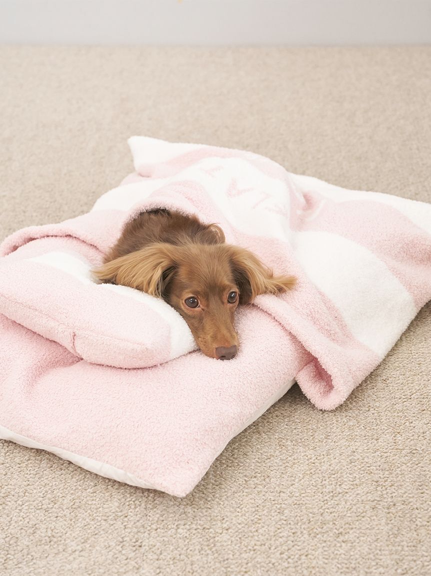  GELATO PIQUE CAT&DOG「【CAT&DOG】ベビモコおふとんセットL」|その他|