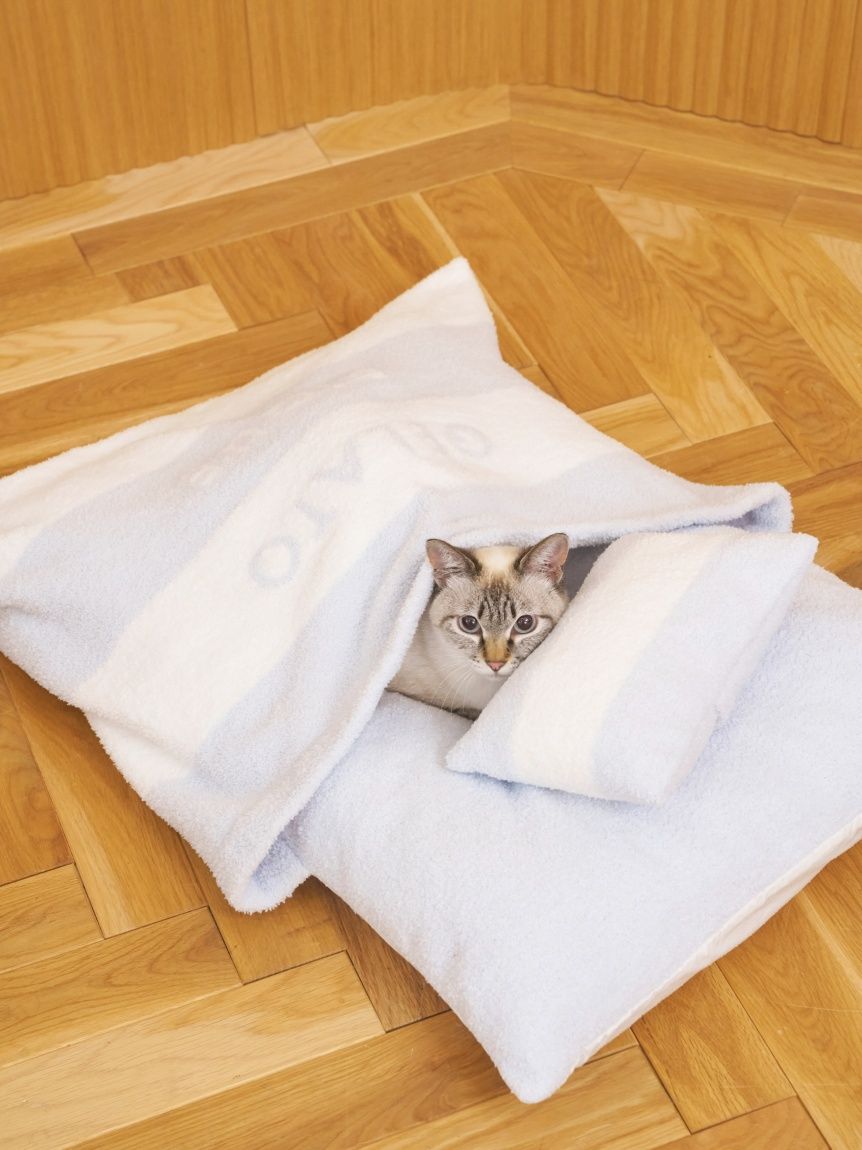  GELATO PIQUE CAT&DOG「【CAT&DOG】ベビモコおふとんセットL」|その他|BLU