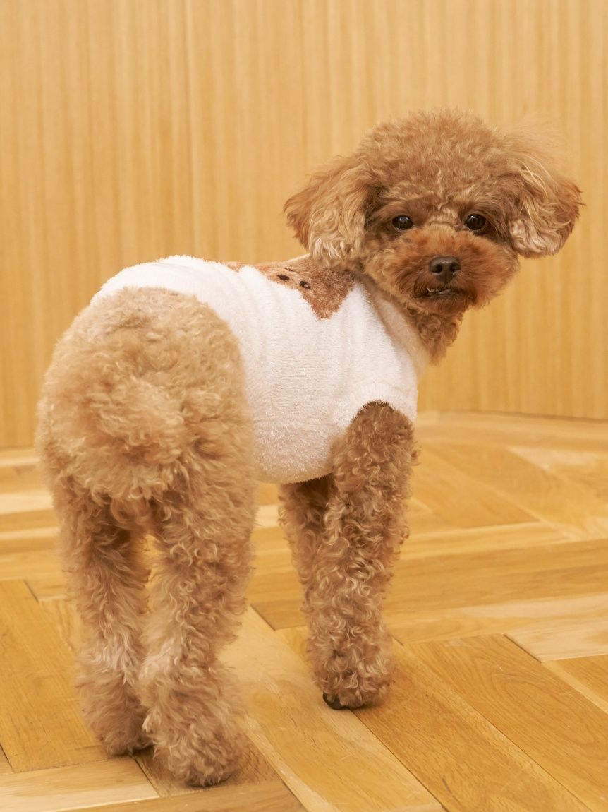  GELATO PIQUE CAT&DOG「【CAT&DOG】スムーズィートイプードル柄ジャガードプルオーバー」|その他|