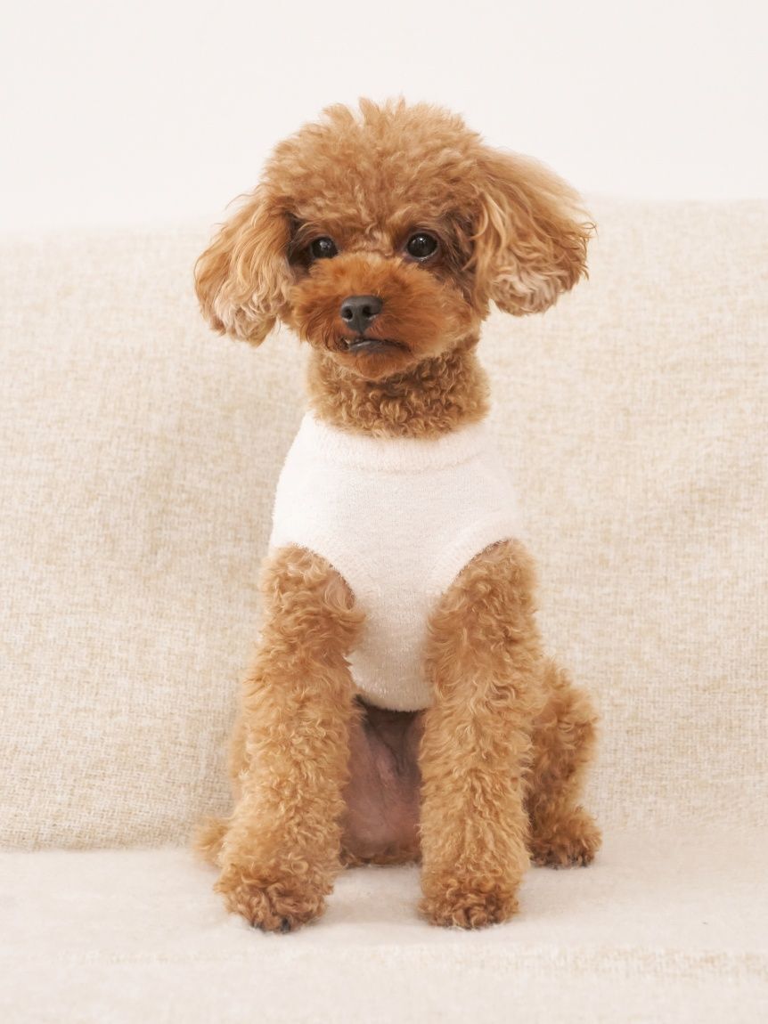  GELATO PIQUE CAT&DOG「【CAT&DOG】スムーズィートイプードル柄ジャガードプルオーバー」|その他|