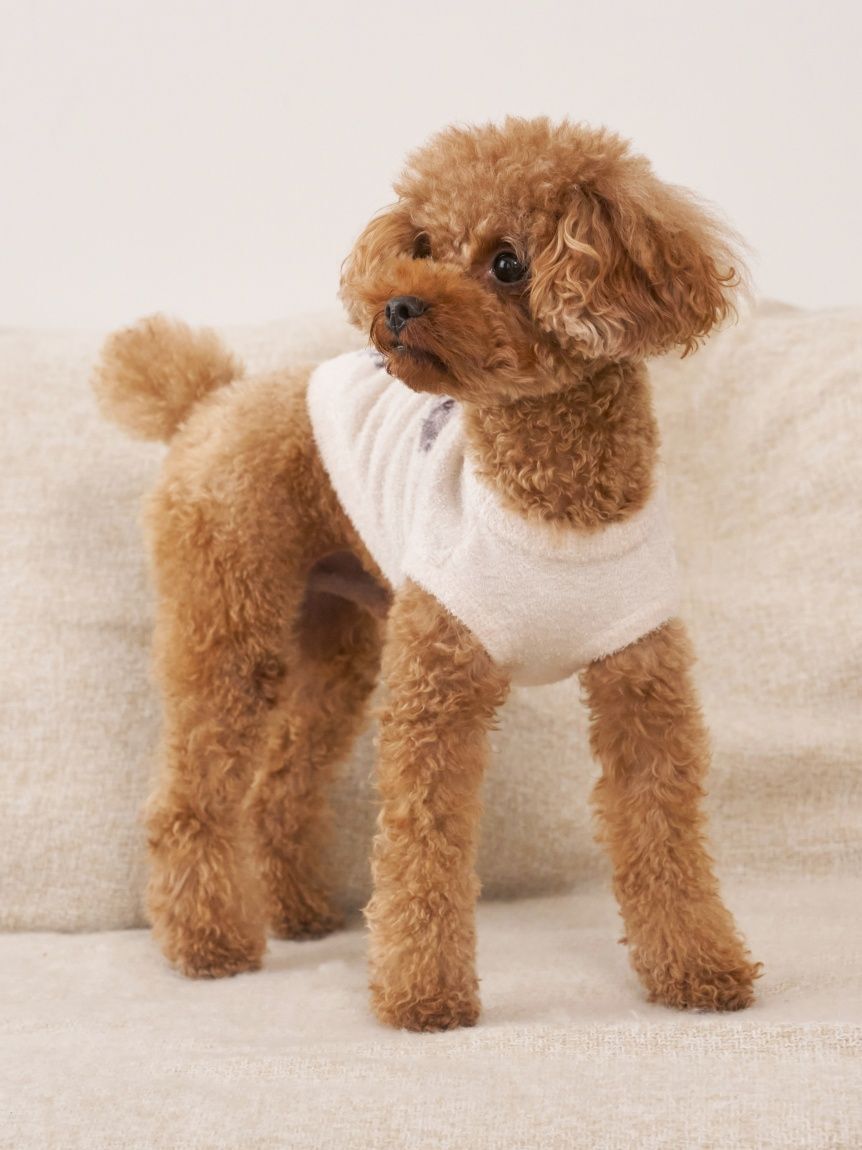  GELATO PIQUE CAT&DOG「【CAT&DOG】スムーズィートイプードル柄ジャガードプルオーバー」|その他|