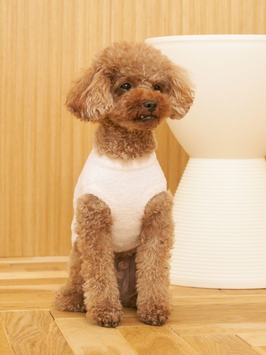  GELATO PIQUE CAT&DOG「【CAT&DOG】スムーズィートイプードル柄ジャガードプルオーバー」|その他|