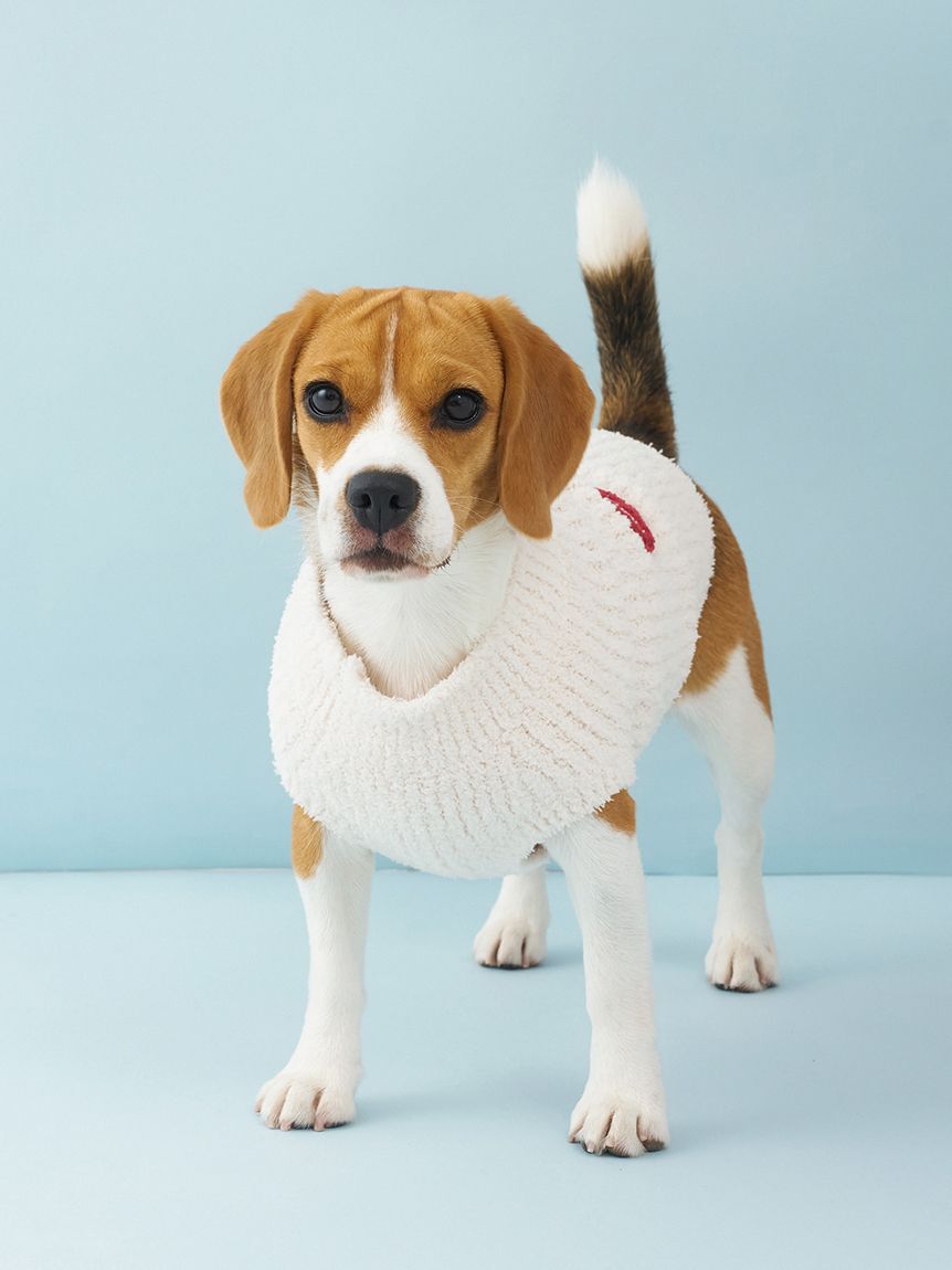  GELATO PIQUE CAT&DOG「【CAT&DOG】ベビモコベアサガラ刺繍プルオーバー」|その他|