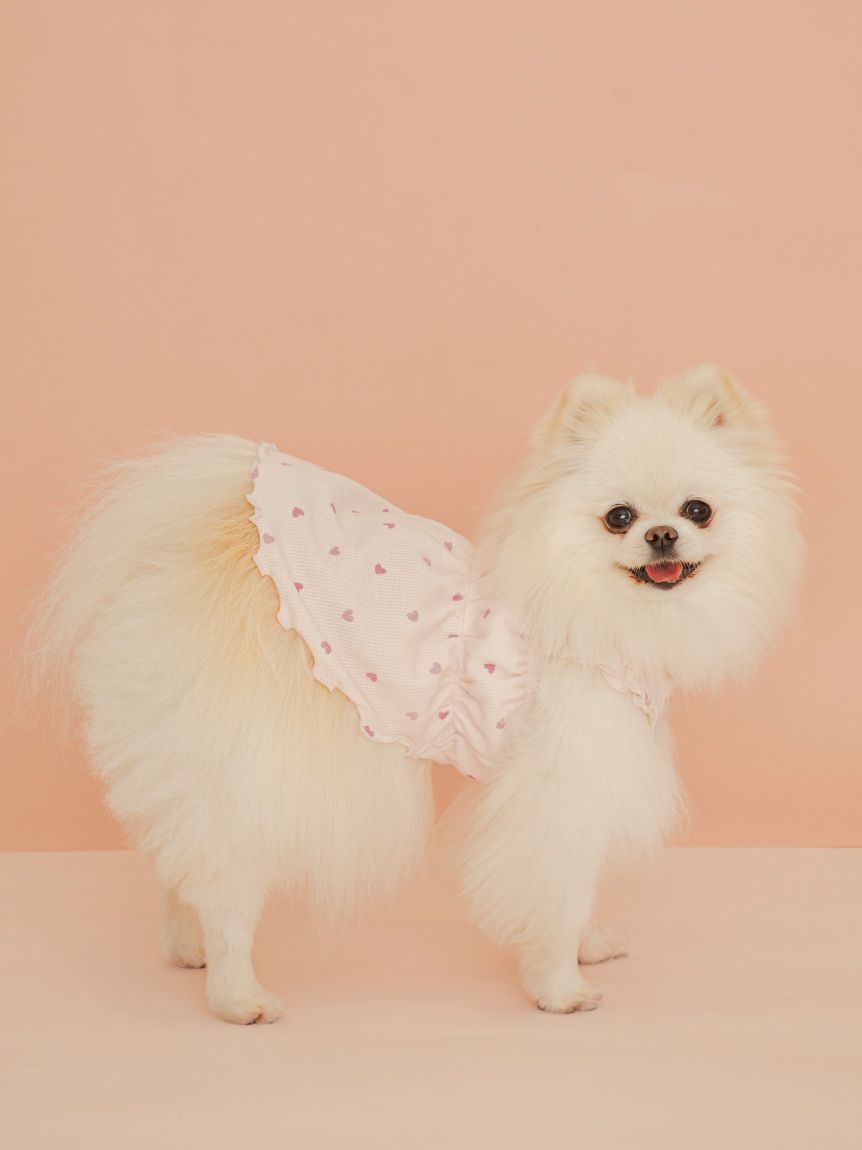  GELATO PIQUE CAT&DOG「【CAT&DOG】ハート柄フリルワンピース」|その他|