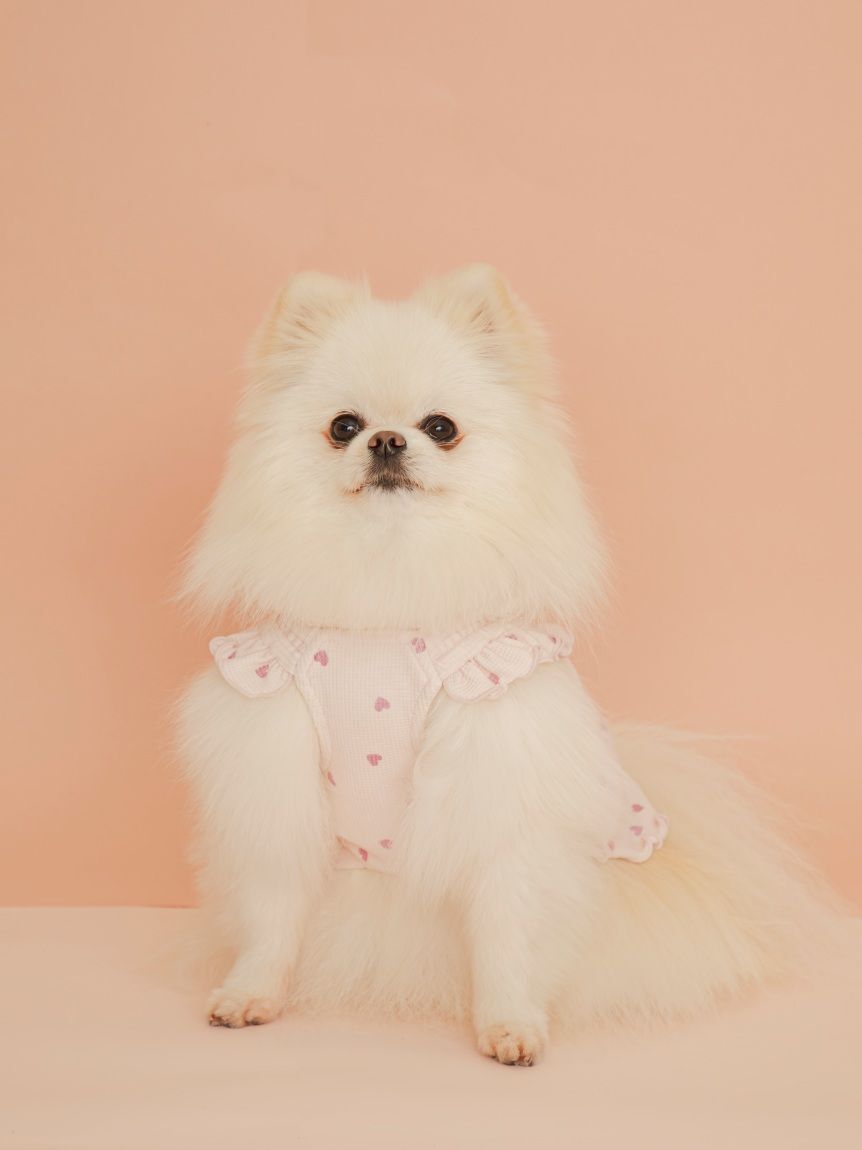  GELATO PIQUE CAT&DOG「【CAT&DOG】ハート柄フリルワンピース」|その他|