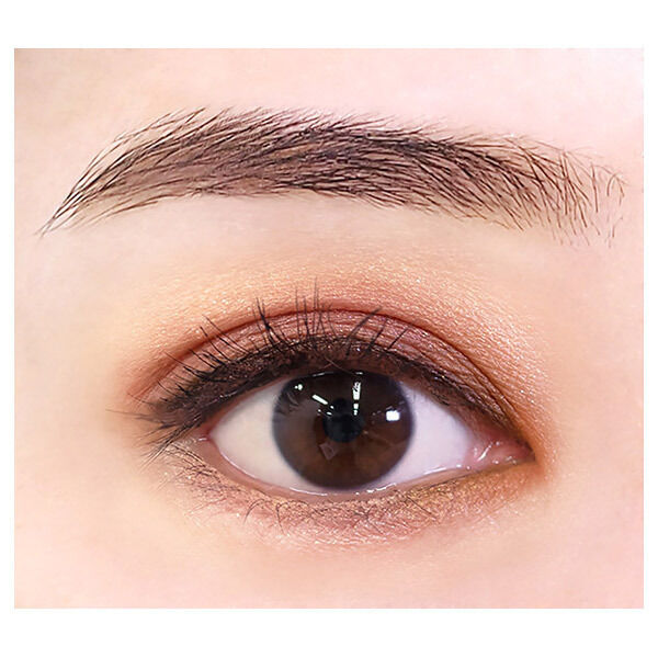  「レブロン カラーステイ ルックス ブック パレット 950 ドリーマー 本体 (3.4ｇ)」|アイシャドウ|