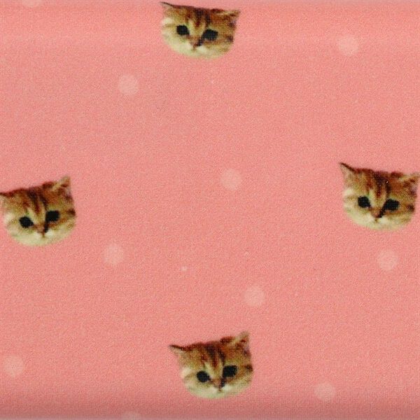 PAUL&JOE「ランチボックス・長方形・２段／ポール＆ジョー・ブレイクタイム」|食器・キッチングッズ|