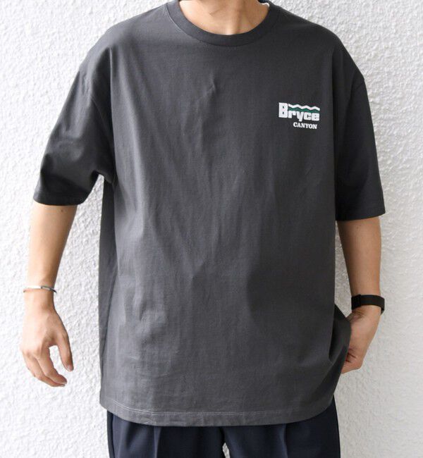 SHIPS any「【WEB限定】SHIPS any: NATIONAL PARK ヴィンテージライク ワンポイント プリント Tシャツ◇」|Tシャツ・カットソー|