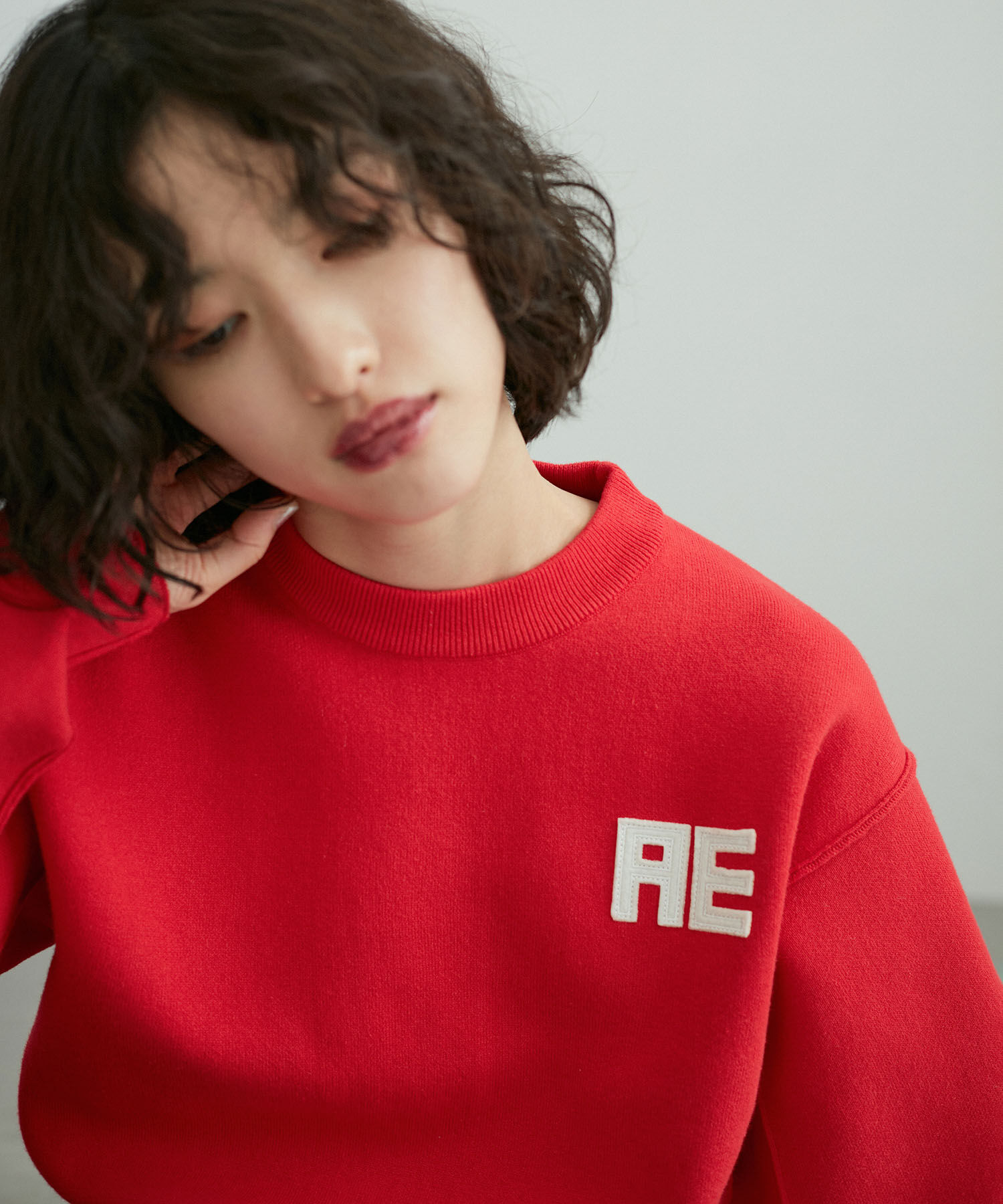 ADAM ET ROPE'「【サステナブル・洗える】フェルト刺しゅうニットプルオーバー」|ニット・セーター|