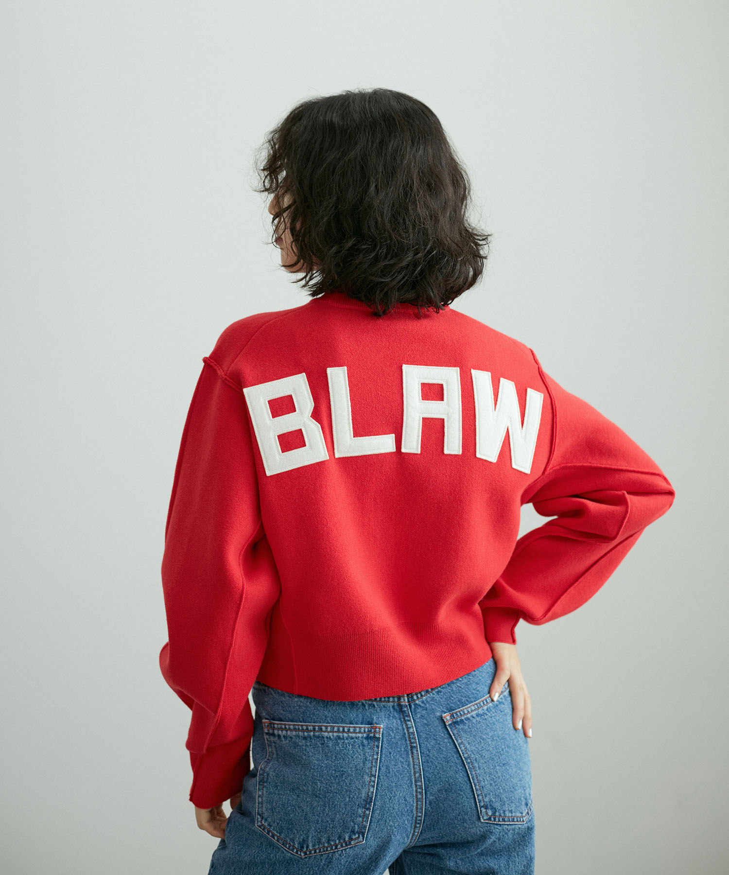 ADAM ET ROPE'「【サステナブル・洗える】フェルト刺しゅうニットプルオーバー」|ニット・セーター|