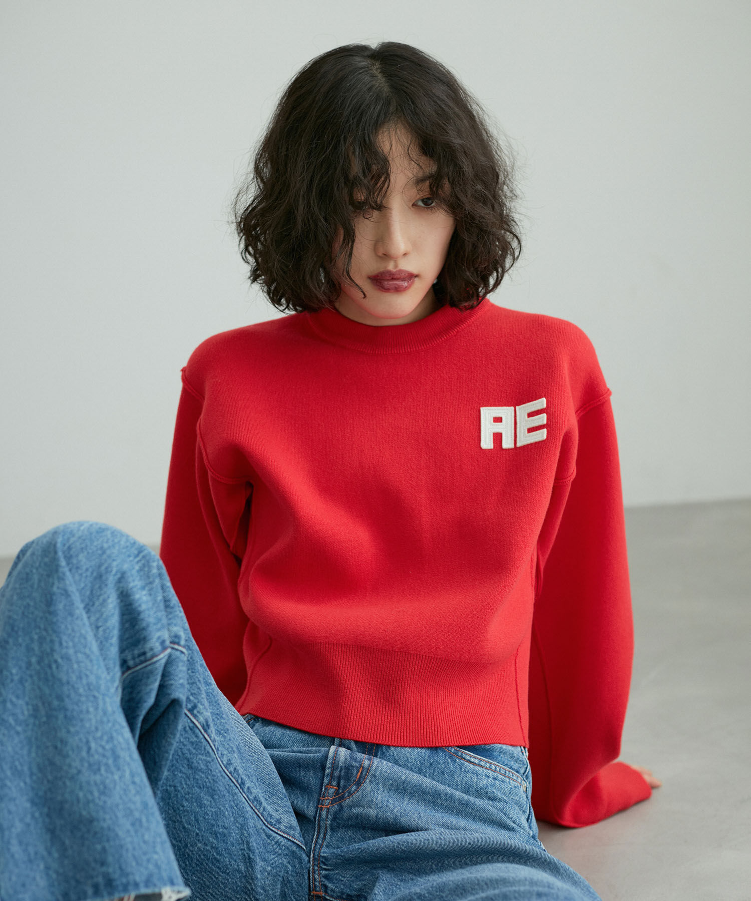 ADAM ET ROPE'「【サステナブル・洗える】フェルト刺しゅうニットプルオーバー」|ニット・セーター|