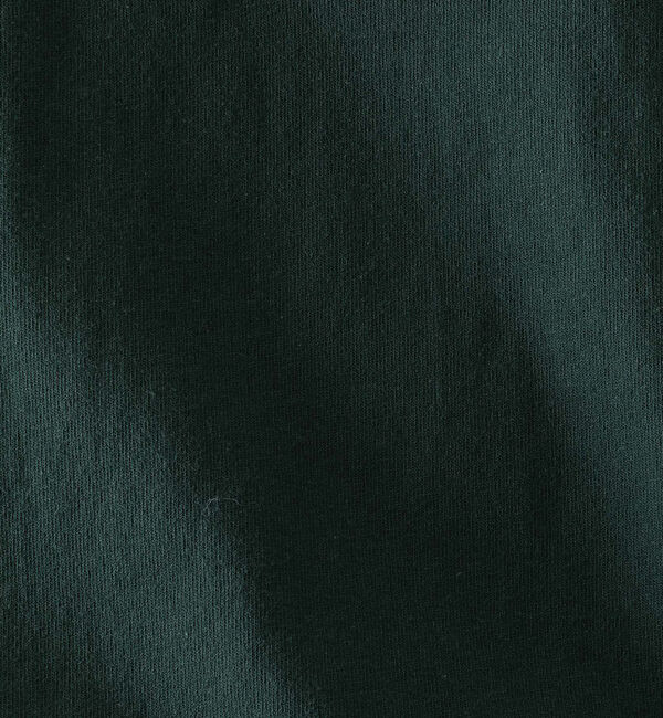 ABAHOUSE「【BADBOY / バッドボーイ】USA ロゴ パロディ Tシャツ」|Tシャツ・カットソー|