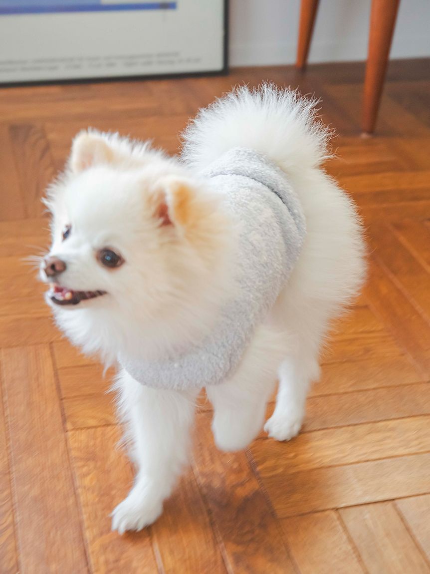  GELATO PIQUE CAT&DOG「【CAT&DOG】【販路限定商品】ベビモコネップdogプルオーバー」|その他|