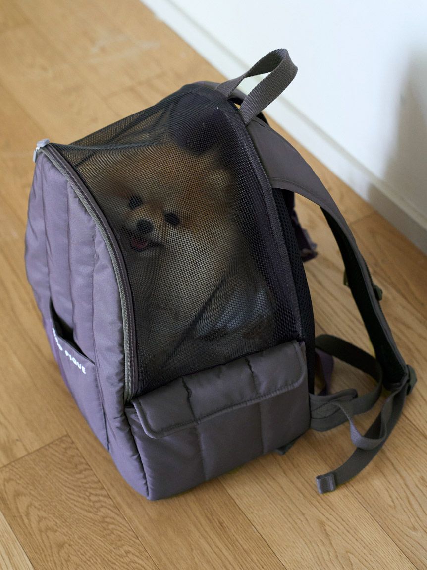  GELATO PIQUE CAT&DOG「【CAT＆DOG】リュックキャリー」|その他|