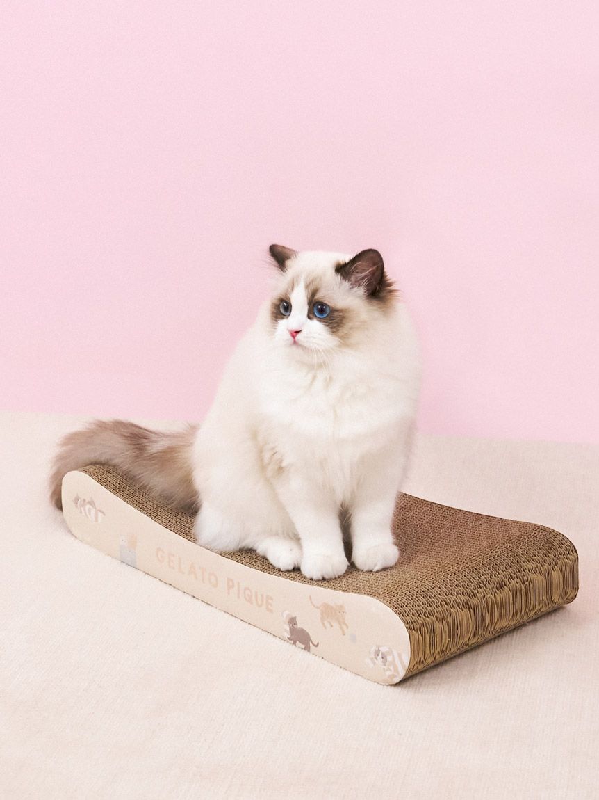  GELATO PIQUE CAT&DOG「【CAT&DOG】ねこ柄つめとぎ」|その他|